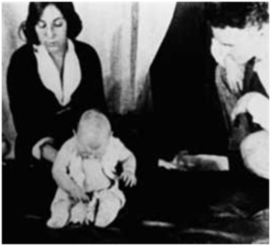 Little Albert Experiment