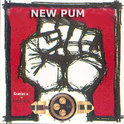 Partido Unificado Mariateguista