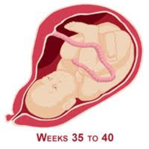 Week 36