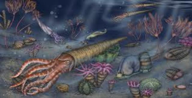 ordovician 500mia-435mya