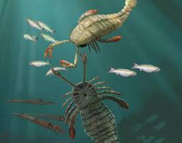 silurian435-395mya