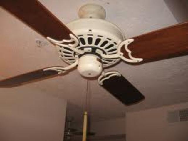 Ceiling fan
