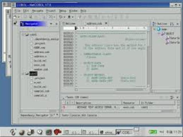 The First Programming Language