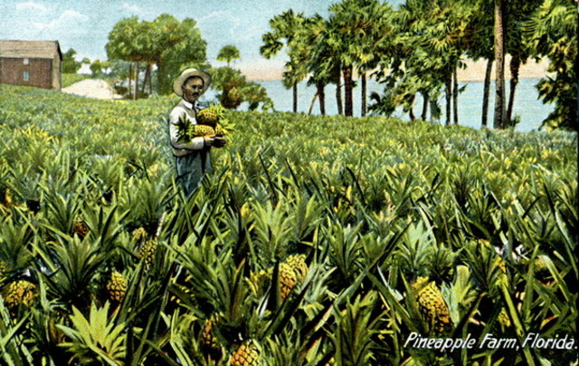 Hawaii becomes a territory.