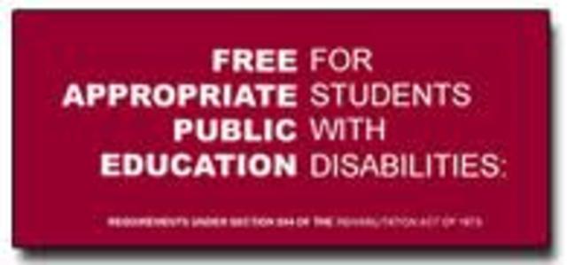 Individuals with Disabilities Education Act (IDEA)