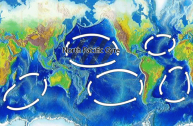 pacific gyre garbage patch