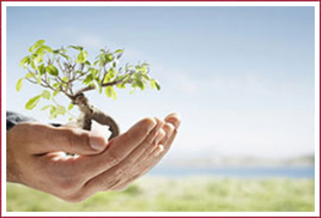 Declaración de la Haya sobre el Turismo.