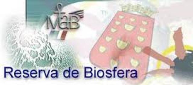 Declaracion de Caracas.