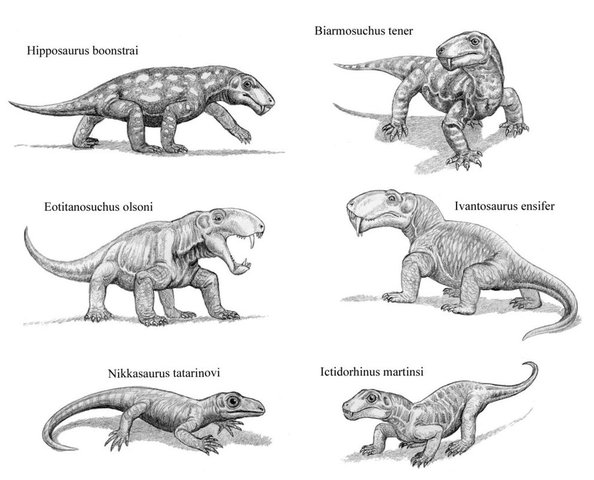 Premian Period 280m-225m MYA