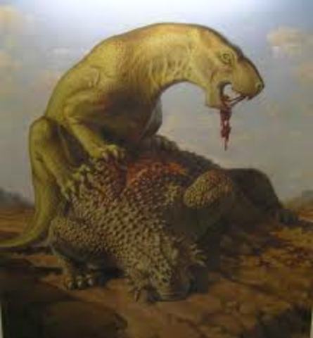 Permian Period 280- 225 MYA