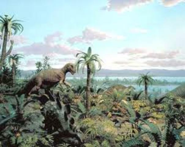 Jurassic Period 195- 136 MYA