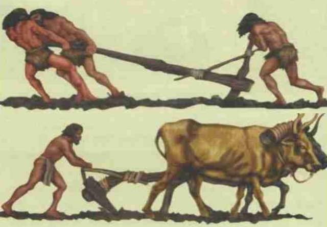 Primeras comunidades agrícolas