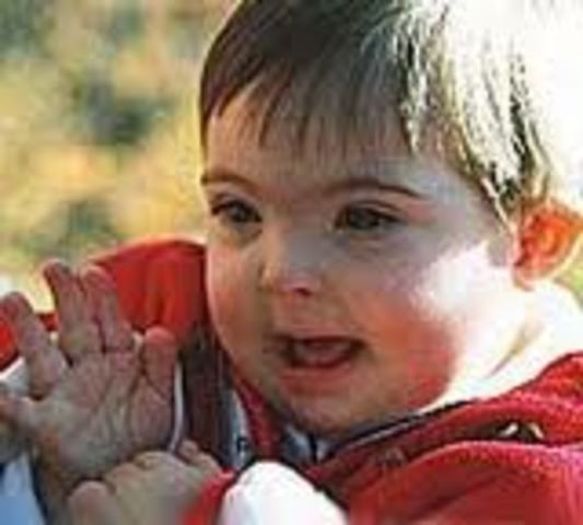 SABERES E PRÁTICAS DA INCLUSÃO