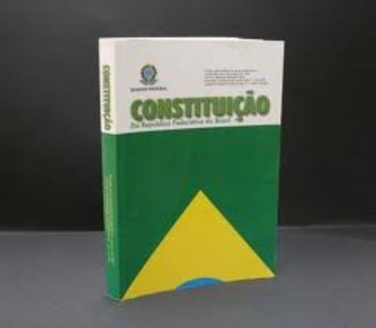 A nova Constituição Federal