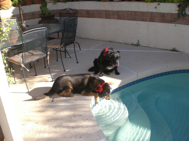 Beginning of Community College