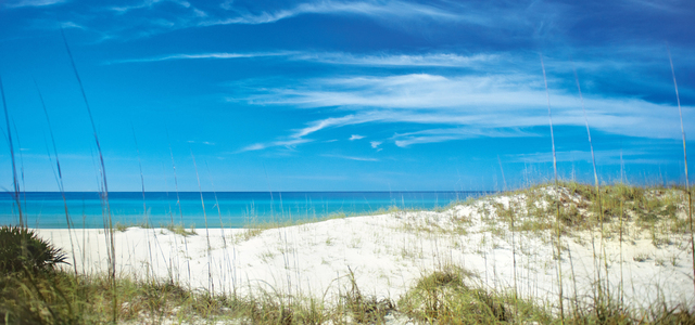 When my family and I went to florida