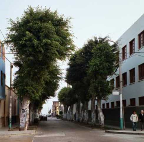Se inaugura local de secundaria en bellavista