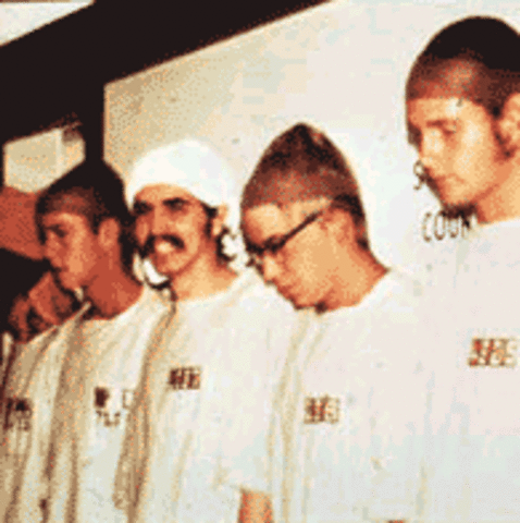 Day 4: 819 rebels and 416 on a hunger strike