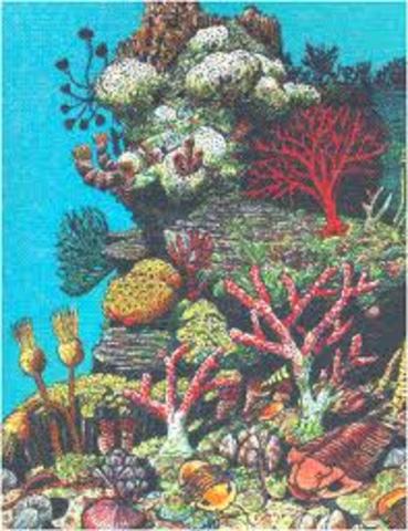 Siluvian 285 M - 65 M