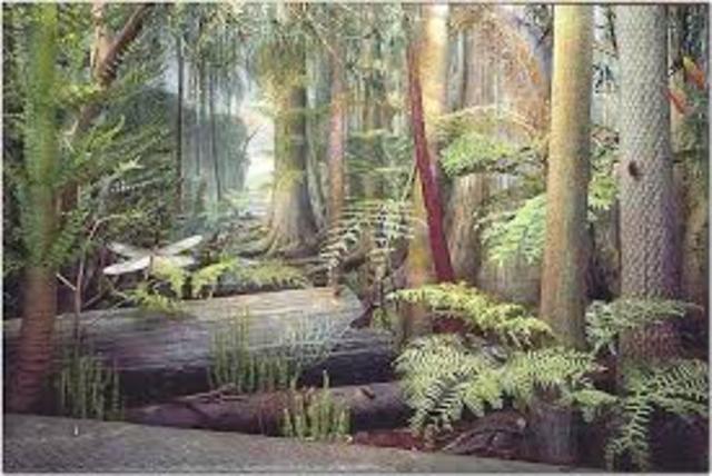 Carboniferious Period
