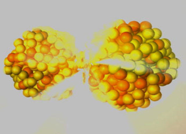 Positive Prediction?