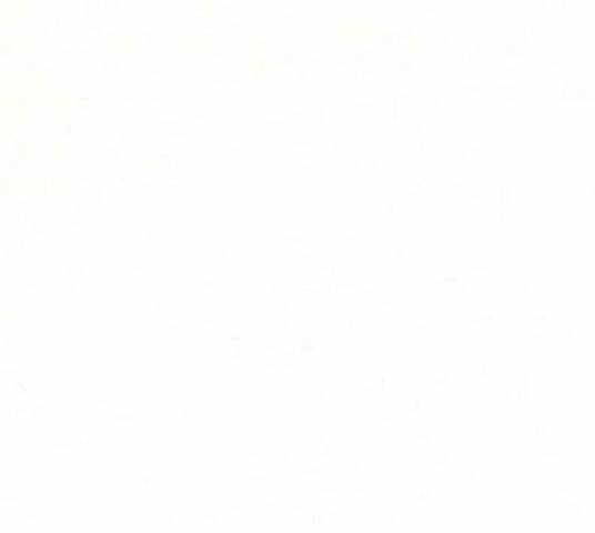 First imported car into Australia