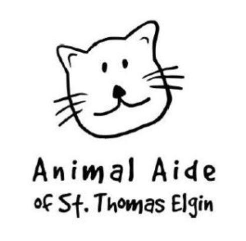 started volunteer hours