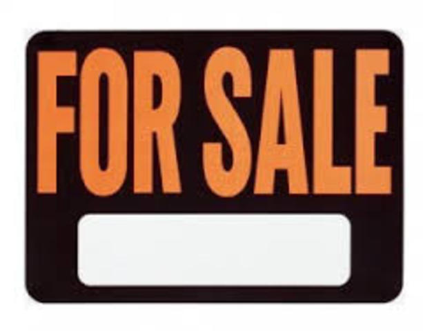 Isaac Craig and Stephen Bayard are first real estate owners in “Pittsburgh”.