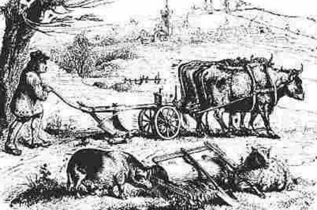 Automatización de la agricultura