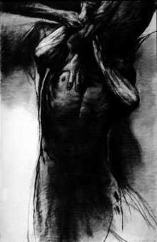 Los organismos no gubernamentales de defensa de los derechos humanos han hecho una activa campaña para impulsar su protección.