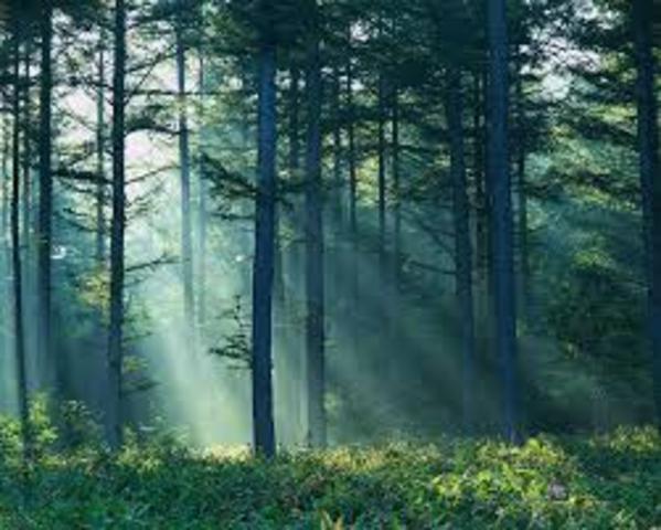 National Park Service Act