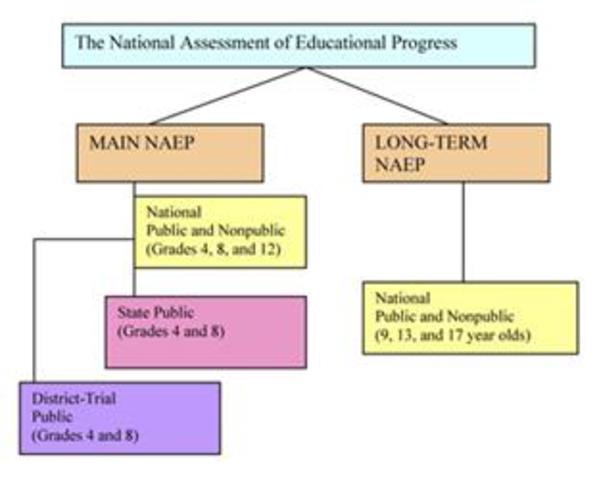 National Assessment of Educational Progress. (NAEP)