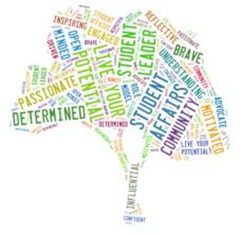 Meetings with Associate Deans for Student Affairs and Their Staff