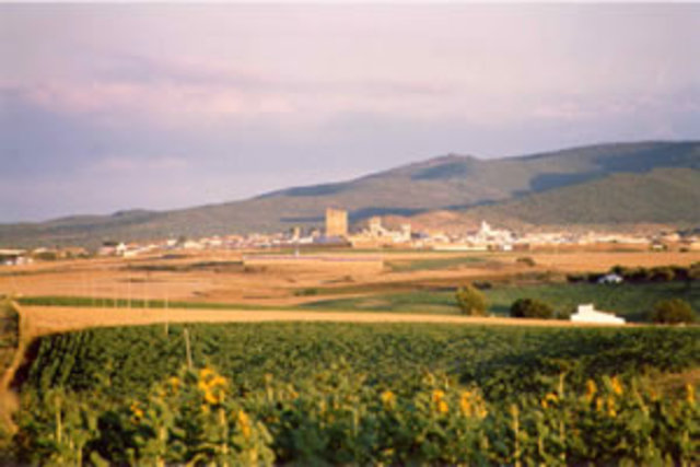 REAL DECRETO DE 1.793