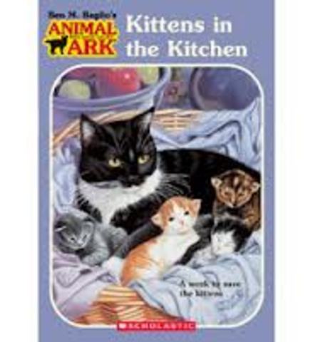 Kittens in the Kitchen