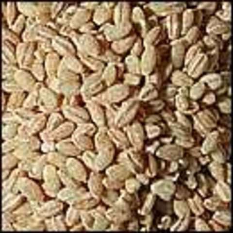 M- trade and transport