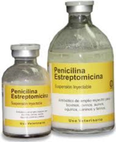 Descubrimiento de la penicilina