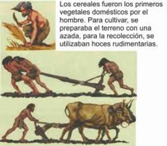 Los Primeros Asentamientos a los grandes Imperios