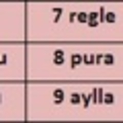 Sistema de Numeración Mapuche