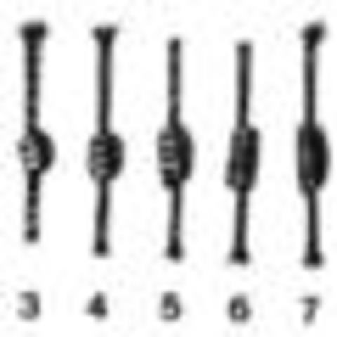 Sistema de numeración inca (Siglo XV-XVI)