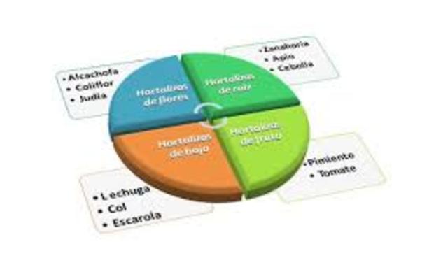 MODIFICACIÓN DE PROCESOS EN LA PRODUCCIÓN DE ALIMENTOS