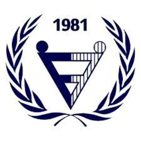 Ano Internacional das Pessoas Deficientes