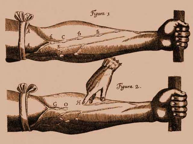 Harvey and the circulation of the blood:
