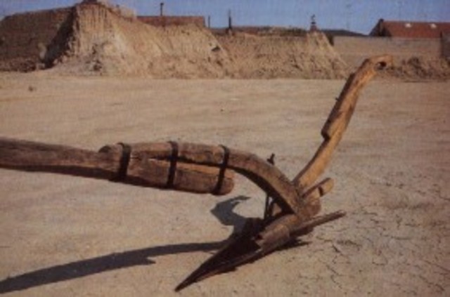 Establecimiento de comunidades agrícolas