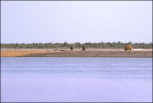 I- Geography advances and Disadvantages