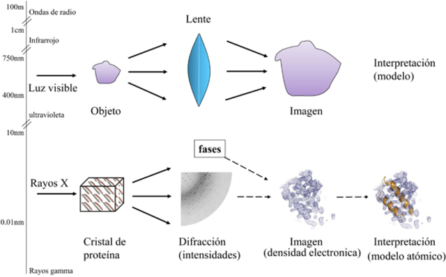 TÉCNICA DE CRISTALOGRAFÍA EN RAYOS X