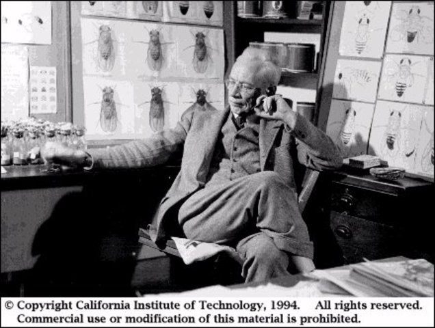 PRIMER MAPA GÉNETICO