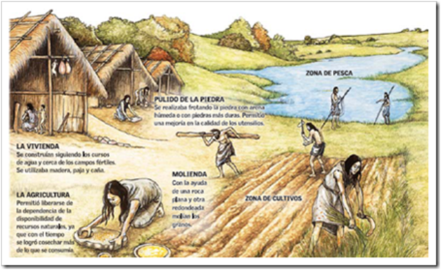 9. Revolución agrícola