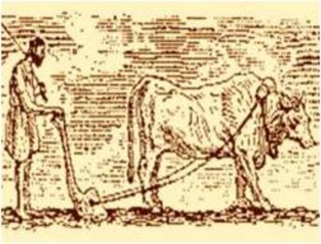 10. Arado Lo más sobresaliente de la edad media para trabajar la tierra.