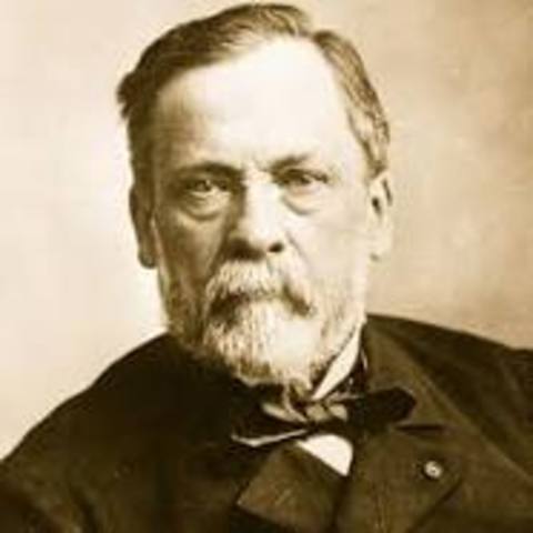 Pasteur